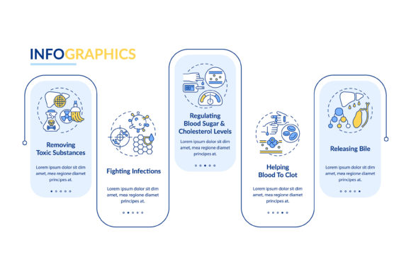 Visualizing Vital Functions: A Guide to the Liver Roles Vector Infographic Template